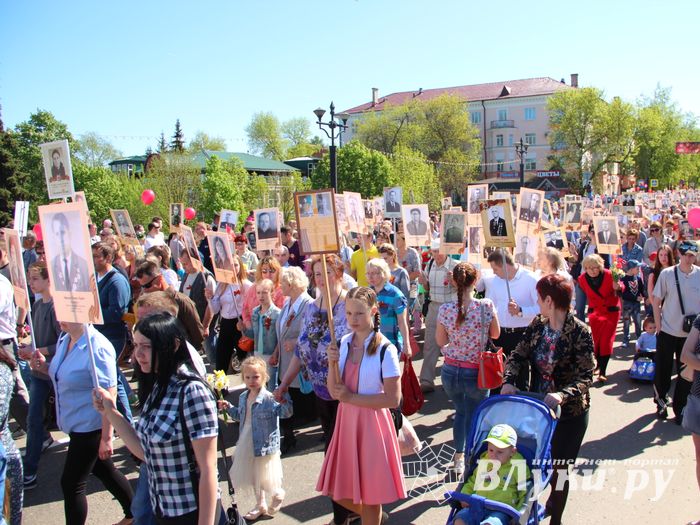 По центральному проспекту Великих Лук прошёл  «Бессмертный полк» (0+) (ФОТО)
