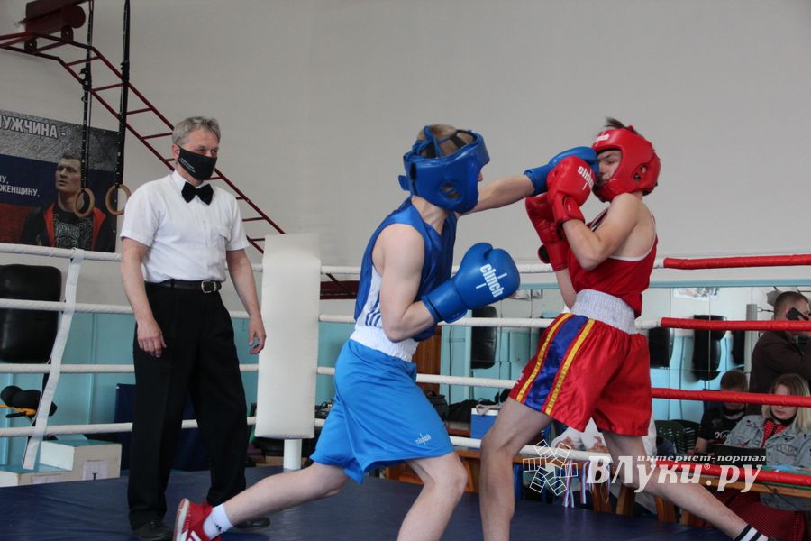 В Великих Луках завершился открытый турнир по боксу (ФОТО)