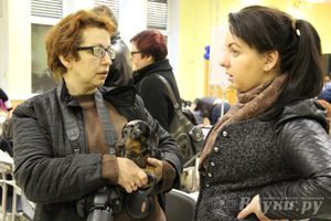 Всероссийская выставка собак в Великих Луках (фото)