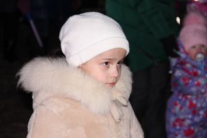 В Великих Луках зажгли Ёлку (ФОТО)