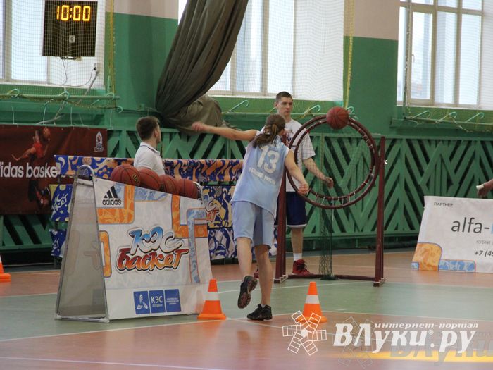 Чемпионат ШБЛ «КЭС-БАСКЕТ» сезона 2013-2014 гг. Псковской области