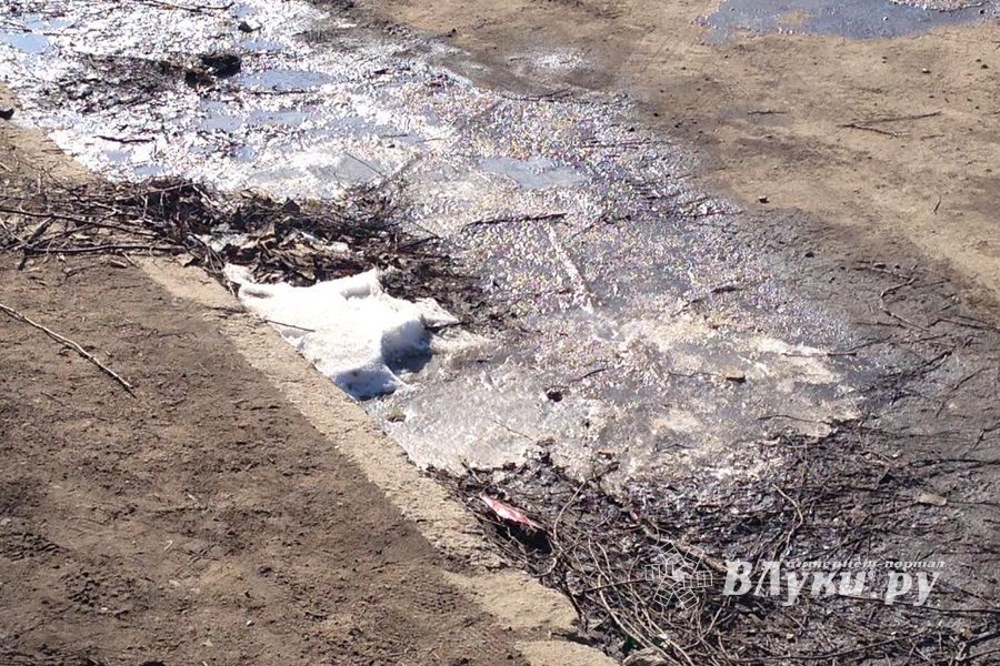 Снег ушел, пыль и грязь вернулись (фото)