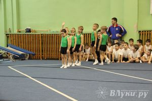 В Великих Луках состоялось Первенство по командной гимнастике (фото)