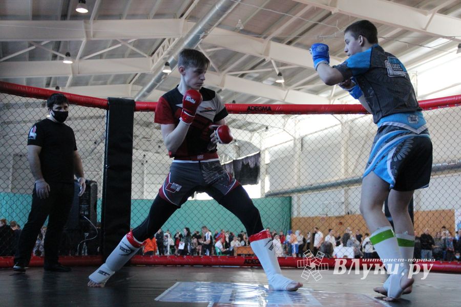 Фестиваль боевых искусств прошел в Великих Луках (ФОТО)