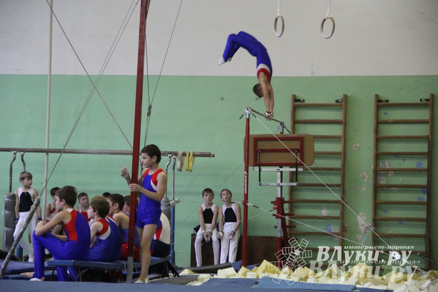 В Великих Луках состоялось Первенство города по спортивной гимнастике (фото)