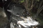 В Псковской области подожгли два автомобиля (ФОТО)