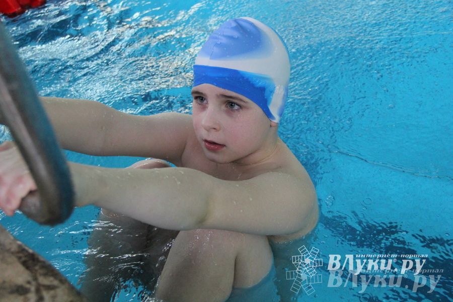 В Великих Луках прошли соревнования по плаванию «Весёлый дельфин»