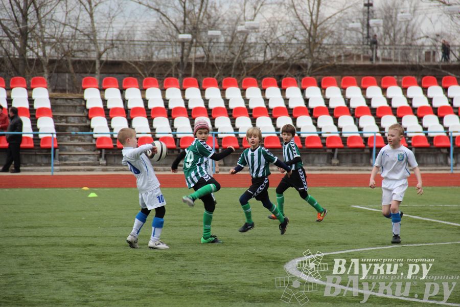 В Великих Луках прошел международный детский турнир по футболу «Наши надежды»