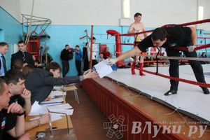 Чемпионат Псковской области по ММА