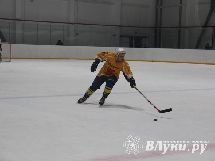 Определилась команда, которая будет представлять город на Кубке области по хоккею (ФОТО)