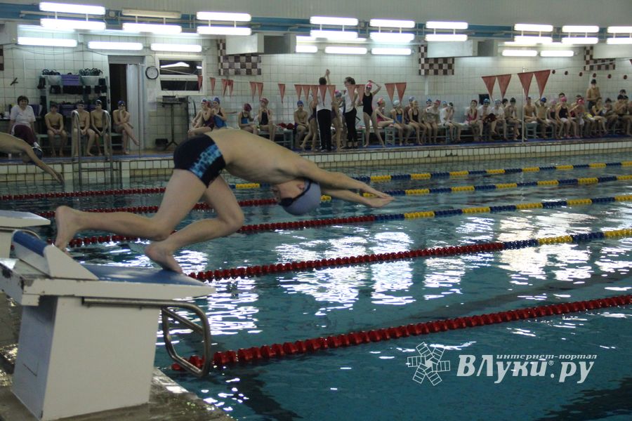 В Великих Луках прошло Первенство города по плаванию (фото)