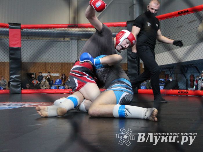 В Великих Луках прошел кубок по смешанному боевому единоборству (ФОТО)