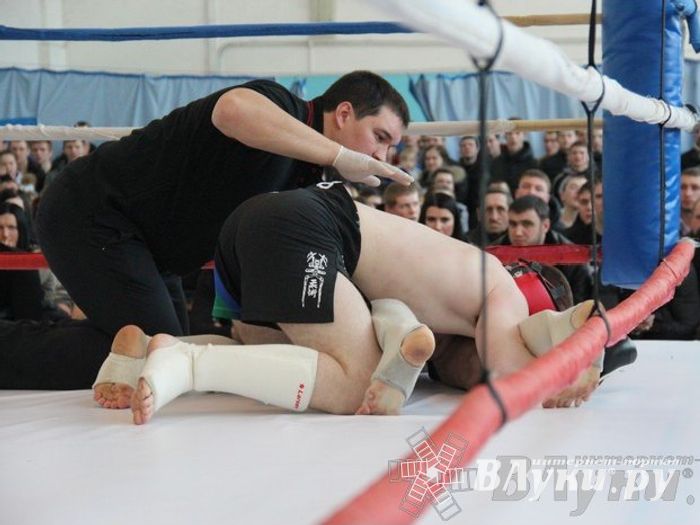 Чемпионат Псковской области по ММА