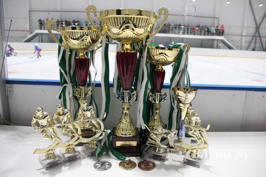 Детский турнир по хоккею прошел в Великих Луках (ФОТО)