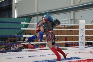 В Великих Луках завершилось Первенство России среди юношей по смешанному боевому единоборству ММА (ФОТО)