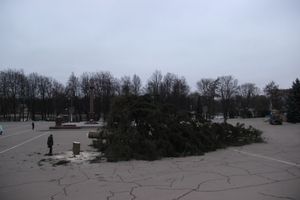 Необычное украшение сняли с главной ёлки Великих Лук (ФОТО)