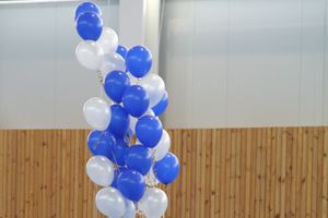 Открытие спортивно-оздоровительного комплекса «Стрелец» (фото)