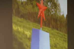 В Великих Луках состоялась презентация брошюры «Память войны» (фото)