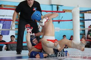 Чемпионат Псковской области по ММА