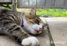 Погодные контрасты на территории страны достигли максимума