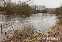 С начала года на водоемах Псковской области погибло 24 человека