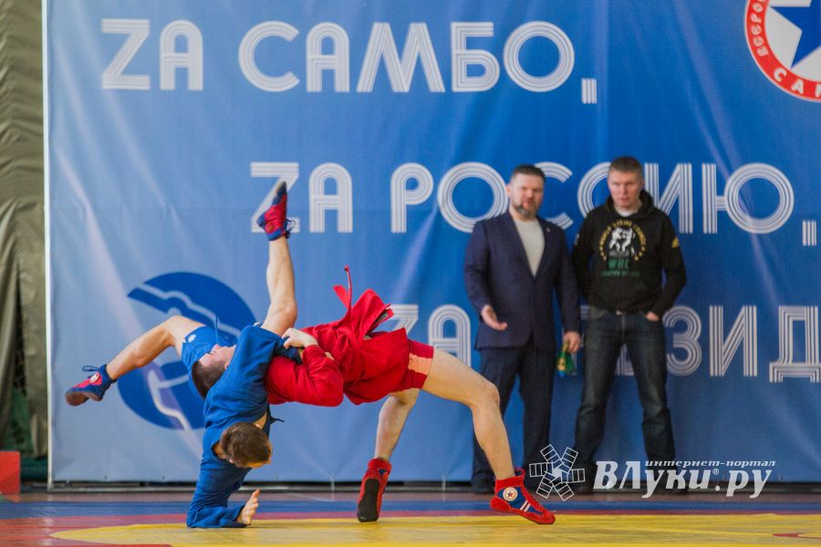 Фото: Александр Воробьев Великолучане завоевали награды Всероссийских соревнований по самбо