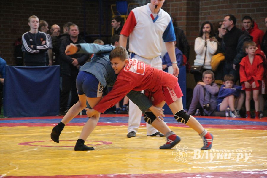Великолучане завоевали награды турнира по самбо «Память» (ФОТО)