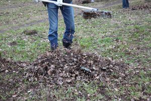 Городские СМИ провели субботник (ФОТО)