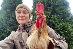 «Zooбастики» и ВЛуки.ру объявляют фотоконкурс «Варежка»