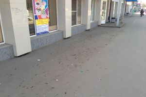 Весне дорогу!