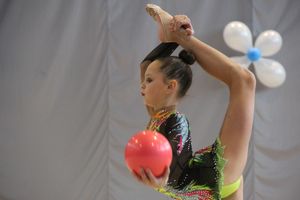 В Великих Луках прошли соревнования на Кубок Псковской области по художественной гимнастике (ФОТО)