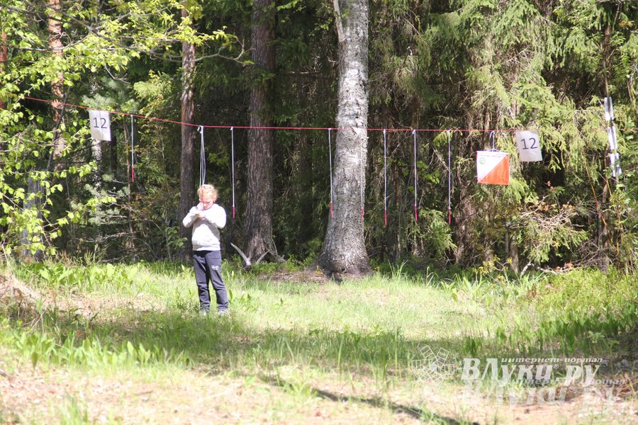В Великолукском районе прошли массовые соревнований по спортивному ориентированию (фото)