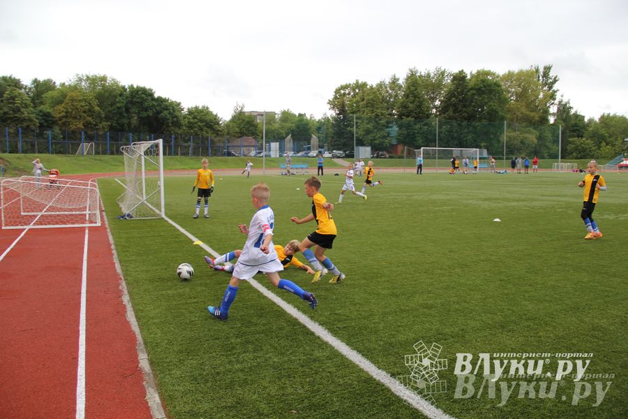 В Великих Луках состоялся Всероссийский турнир «Загрузи себя футболом» (фото)