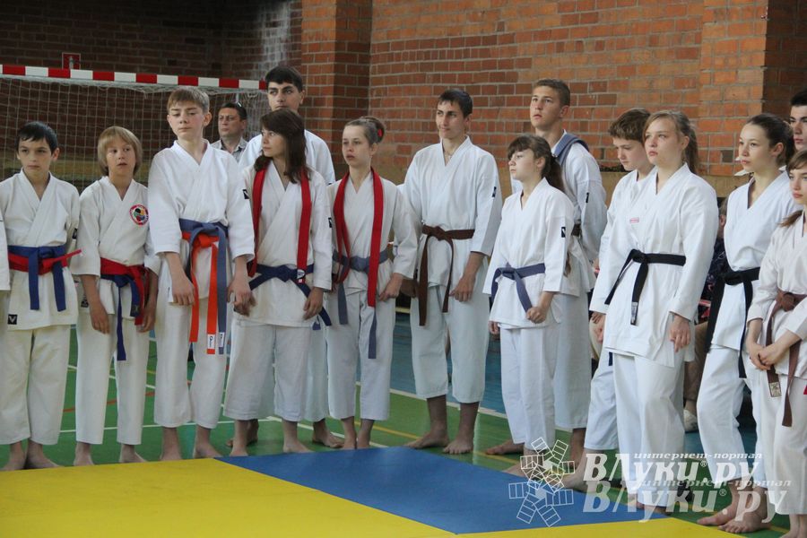 Великолучане стали победителями турнира по каратэ «Неприкосновенный запас, дети — Отчизны 2015» (фото)