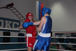 Открытое первенство по боксу прошло в Великих Луках (ФОТО)