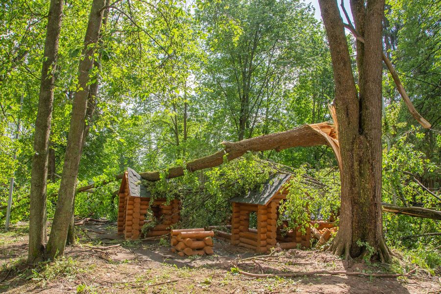 Небезразличные великолучане помогают убрать город после урагана (ФОТО)