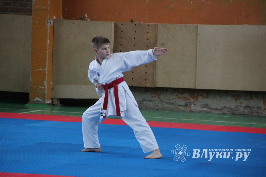 Открытый Кубок города Великие Луки по каратэ WKF (ФОТО)