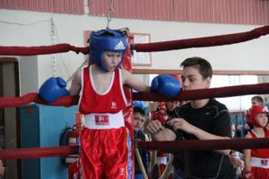 В Великих Луках прошло Первенство города по боксу (ФОТО)
