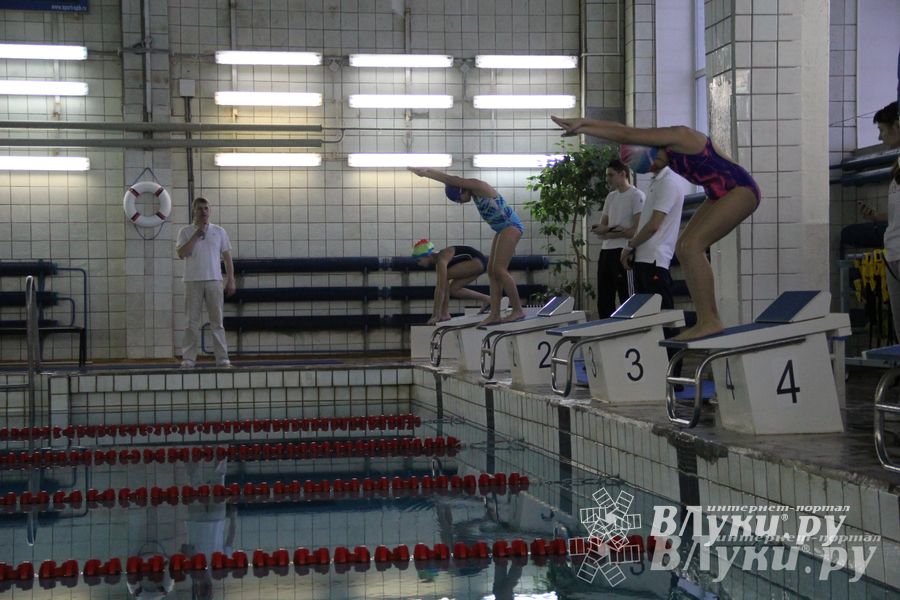 В Великих Луках прошло Первенство по плаванию (фото)