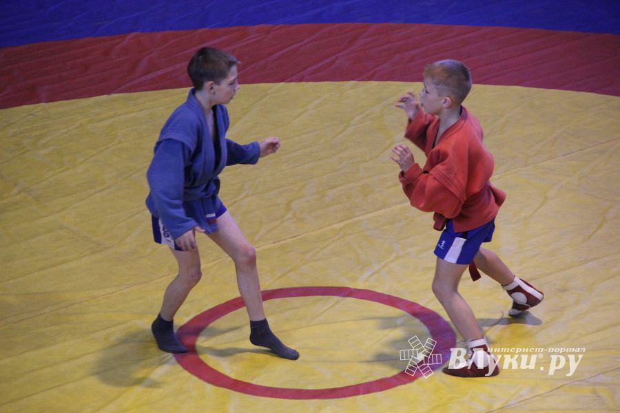 В Великих Луках прошел турнир по самбо "Память" (фото)