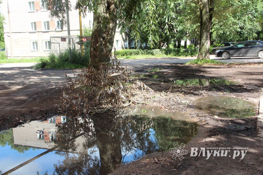 Великие Луки после дождичка в четверг (ФОТО)