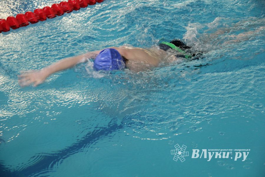 В Великих Луках прошли соревнования по плаванию «Быстрый Кашалот»