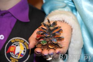 «Европейская сказка» началась в Великих Луках