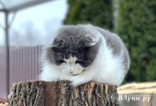 Прогноз погоды на 8 апреля в Великих Луках