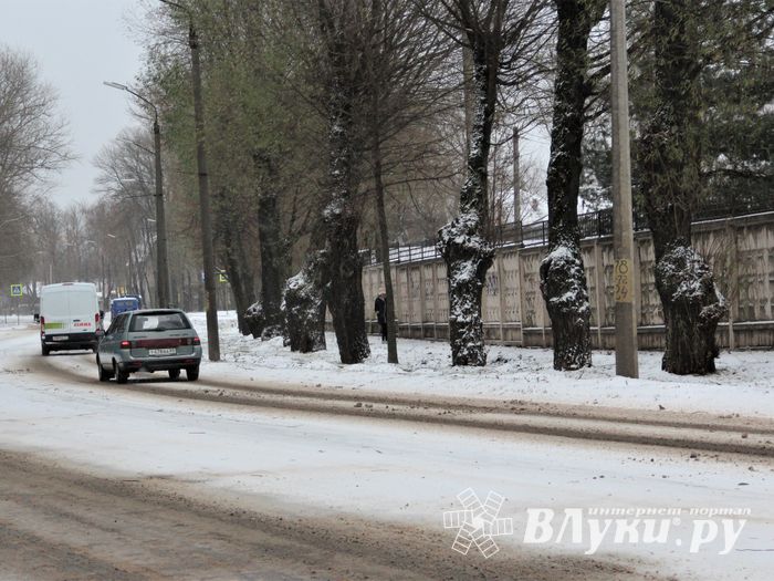 В Великих Луках — 20 км/ч (ФОТО)