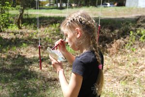 В Великолукском районе прошли массовые соревнований по спортивному ориентированию (фото)