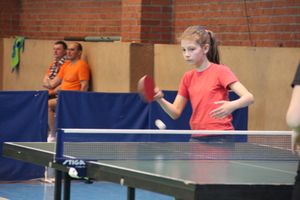 В Великих Луках прошел Кубок области по настольному теннису (ФОТО)