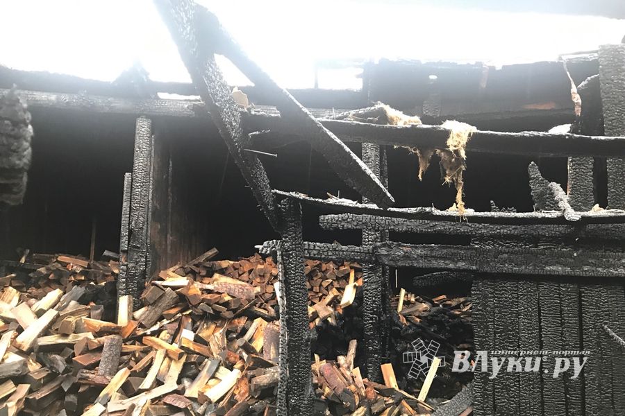 В результате поджога в Великих Луках пострадал 1 человек (ФОТО)