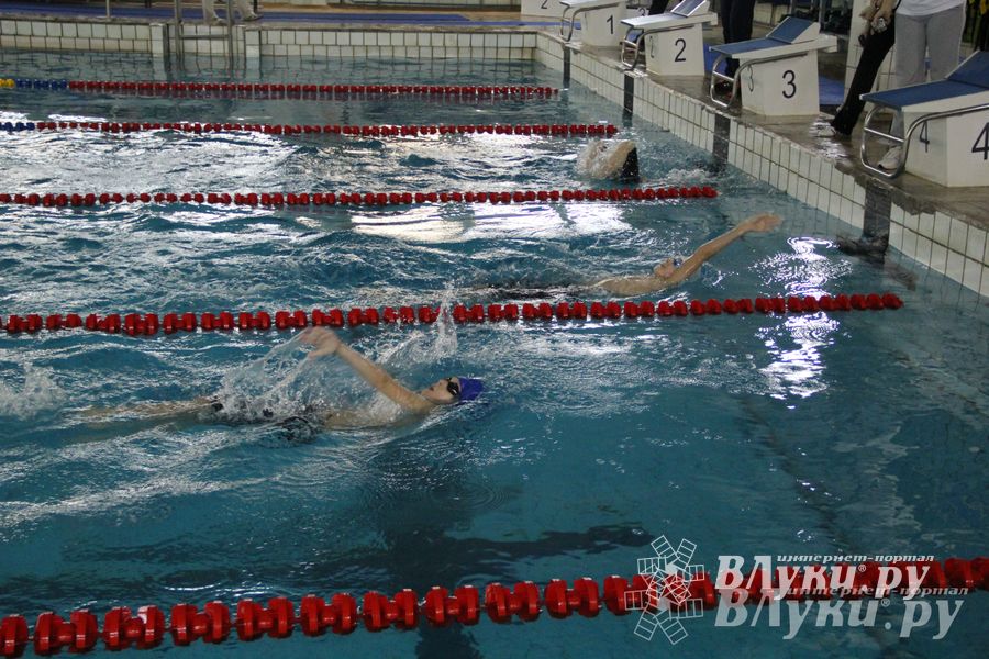 В Великих Луках прошло Первенство по плаванию (фото)