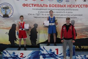 Фестиваль боевых искусств прошел в Великих Луках (ФОТО)